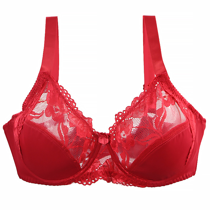 Minimizer Plus Size Underwire  - مراجعة Minimizer Bra Women وسعره